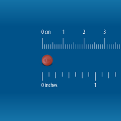 A small, round red tablet marked B 106, identified as Globe Ibuprofen Tablets 200mg (pain reliever/fever reducer), sits by a ruler displaying cm/inches on a blue background. The pill is approx. 0.8 cm in diameter.