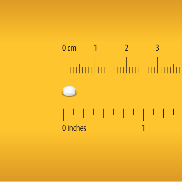 A Globe Electrolyte Replacement Tablet for Rehydration from Globe is placed below a ruler showing both centimeters and inches, measuring about 1 cm or less than half an inch—perfect for convenient hydration during exercise recovery.